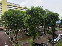Blk 648 Ang Mo Kio 61 (Ang Mo Kio), HDB 4 Rooms #574641521